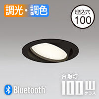 ˥С 饤 100 100W ĴĴBluetooth | ֥å