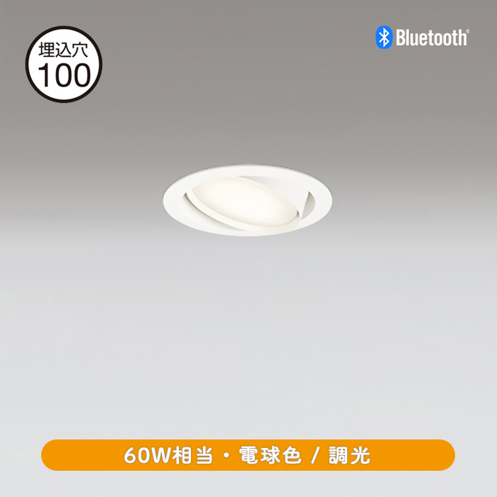 ˥С饤ȡ100 60W ŵ忧Bluetooth | ۥ磻