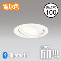 ˥С饤ȡ100 60W ŵ忧Bluetooth | ۥ磻