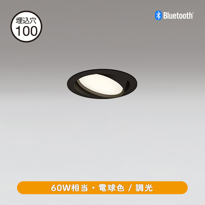 ˥С饤 100 60W ŵ忧Bluetooth | ֥å