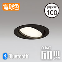 ˥С饤 100 60W ŵ忧Bluetooth | ֥å