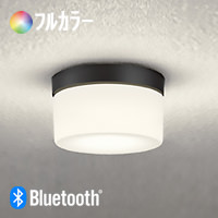 バスルームライト・黒 Φ125 60W相当・フルカラー | Bluetooth