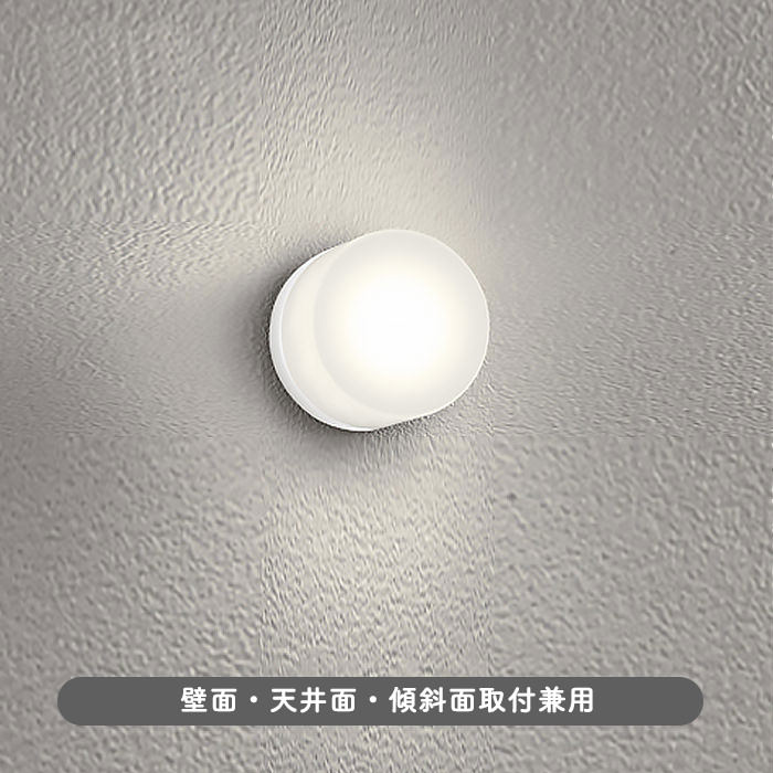バスルームライト Φ125mm・60W相当｜オフホワイトの商品画像