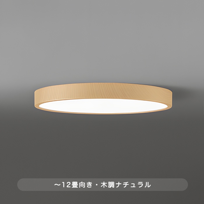 おしゃれな照明 FLATシーリングライト 12畳・Φ450 調光調色 bluetooth｜ナチュラルの商品画像