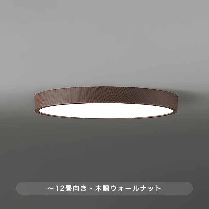 おしゃれな照明 FLATシーリングライト 12畳・Φ450 調光調色 bluetooth｜ナチュラルの商品画像