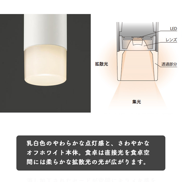 Ĵб LEDڥȥȥ졼ѥեۥ磻ȡ60W 4