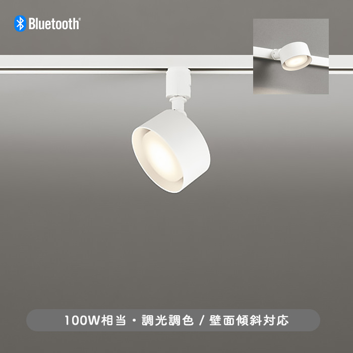 FLATݥåȥ饤 ۥ磻ȡ100W ĴĴ | ȥ졼ѡBluetooth