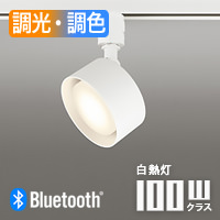 FLATݥåȥ饤 ۥ磻ȡ100W ĴĴ | ȥ졼ѡBluetooth