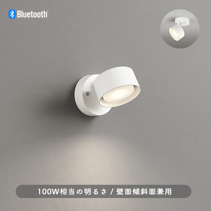 FLAT ݥåȥ饤 եۥ磻ȡ100W | bluetooth