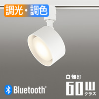 FLATݥåȥ饤 ۥ磻ȡ60W | ȥ졼ѡBluetooth