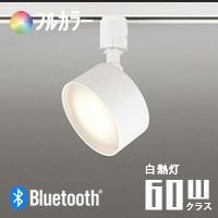 FLATݥåȥ饤 ۥ磻ȡե륫顼 60W | ȥ졼ѡBluetooth