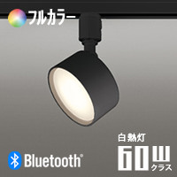 FLATݥåȥ饤 ֥åե륫顼60W | ȥ졼ѡBluetooth