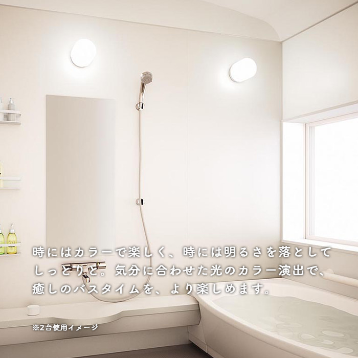 odelic OW269045RG Bluetooth LED浴室灯