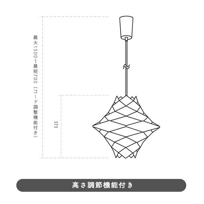 HF ڥȥ饤ȡ60W | Hans Flsgaard  4