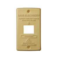 1 | BRASS switch plate