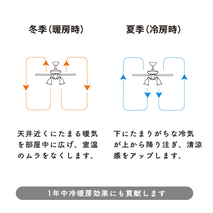 AC.ƥꥢե 10ۥ磻 | ⥳դ 6