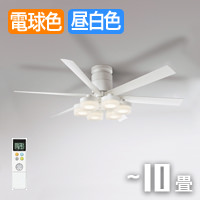 DC Moter fan ۥ磻ȡ10 | ⥳դ