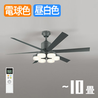 DC Moter fan 10㥳륰졼 | ⥳դ