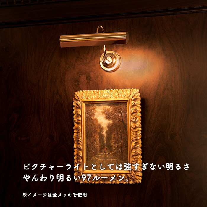 ピクチャーライト