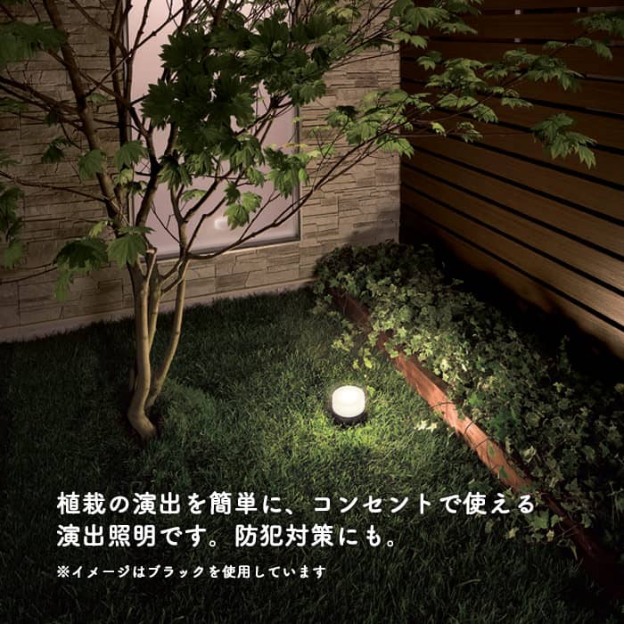 植栽の演出照明