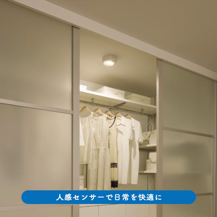 小型シーリングライト