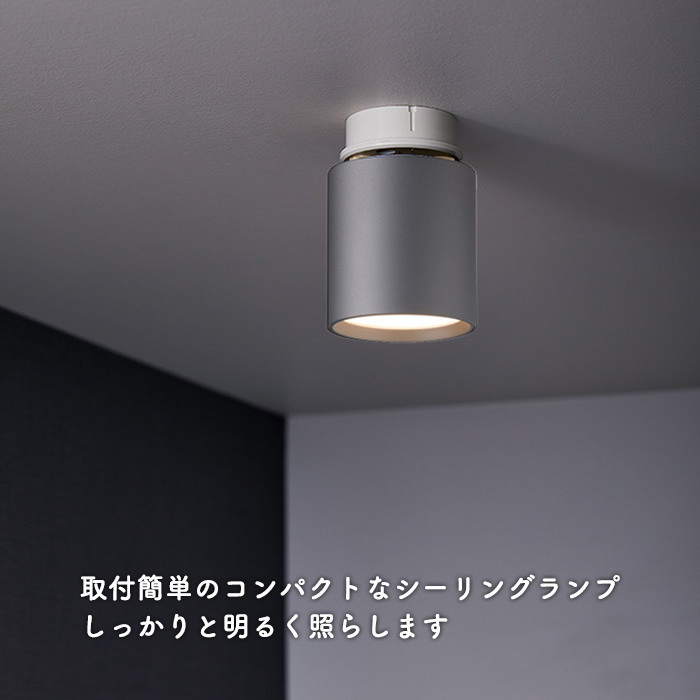 小型シーリングライト