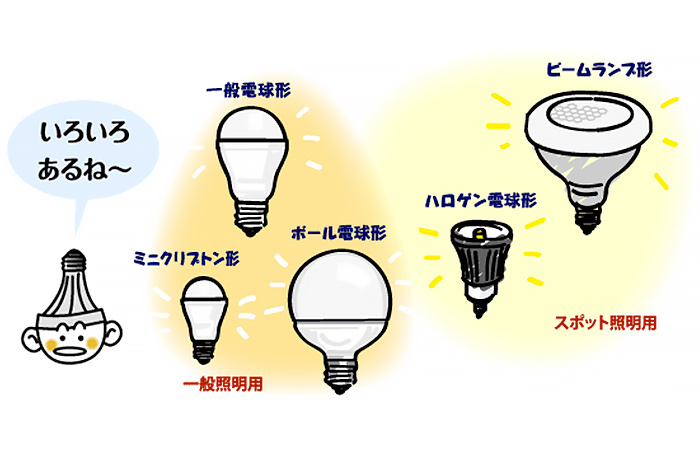 いろいろな電球があります