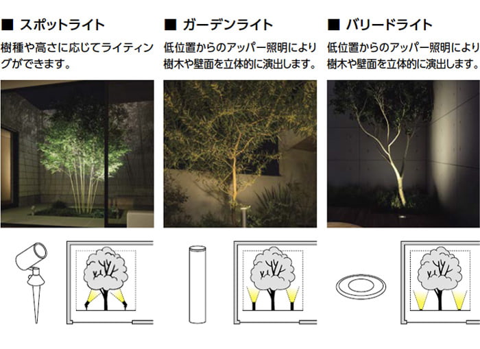 植栽前からの照射