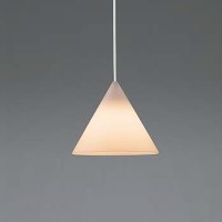 AP55563
