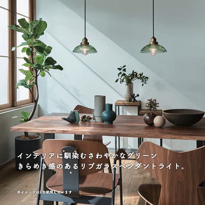 ボタニカルインテリア・照明コーディネート